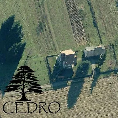 Il Cedro