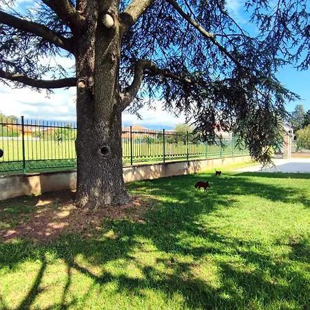 Il Cedro Penzion 3*