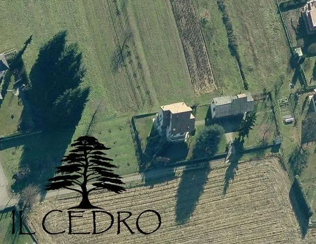 Il Cedro