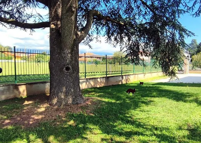 Il Cedro بيت ضيافة 3*